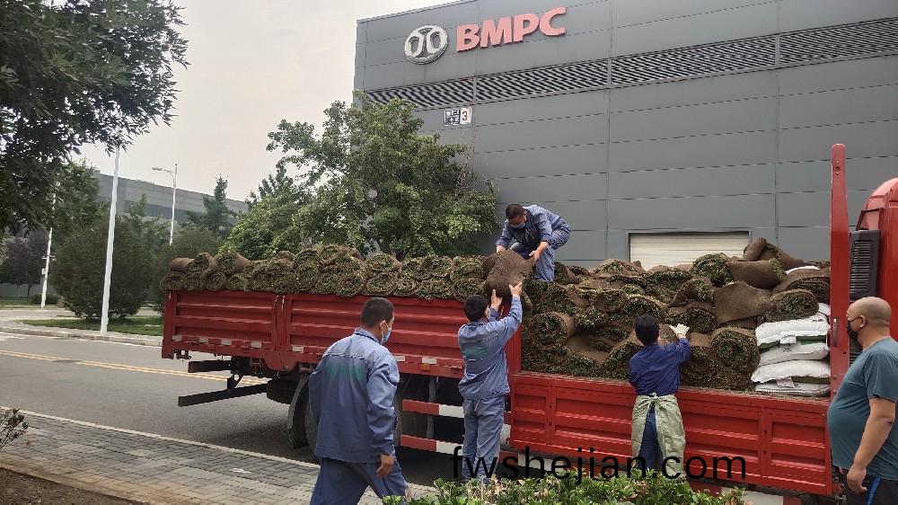 綠(lv)化工(gong)程