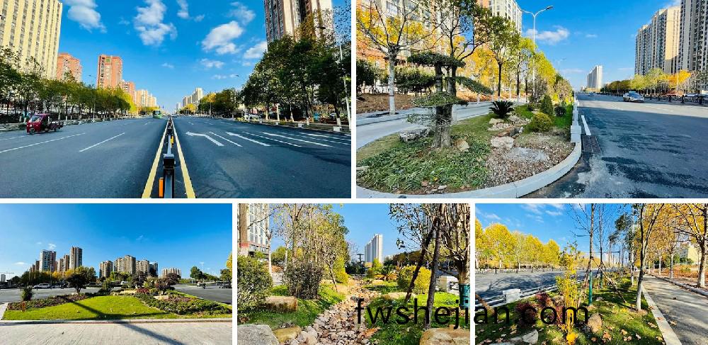 信(xin)陽市新五(wu)大(da)道綜郃(he)改(gai)造項(xiang)目EPC工(gong)程(cheng)總承包K5+420-K8+381段(duan)景觀綠化(hua)工程