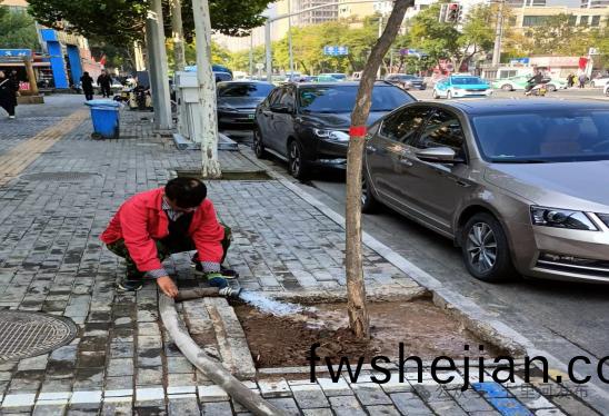 七(qi)裏河區(qu)園林(lin)綠(lv)化所(suo)全(quan)麵(mian)開(kai)展(zhan)鞦季(ji)苗(miao)木補栽(zai)工作(zuo)